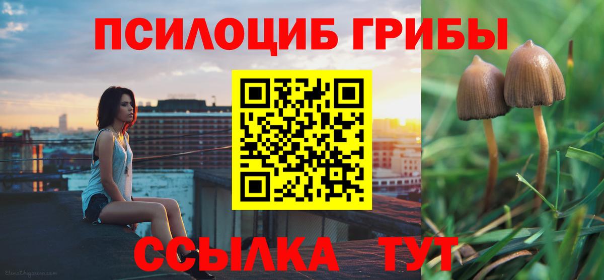 Псилоцибиновые грибы MAGIC MUSHROOMS Стрежевой